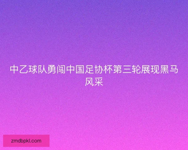 中乙球队勇闯中国足协杯第三轮展现黑马风采